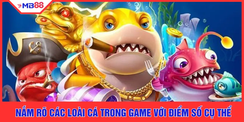 Nắm rõ các loài cá trong game với điểm số cụ thể